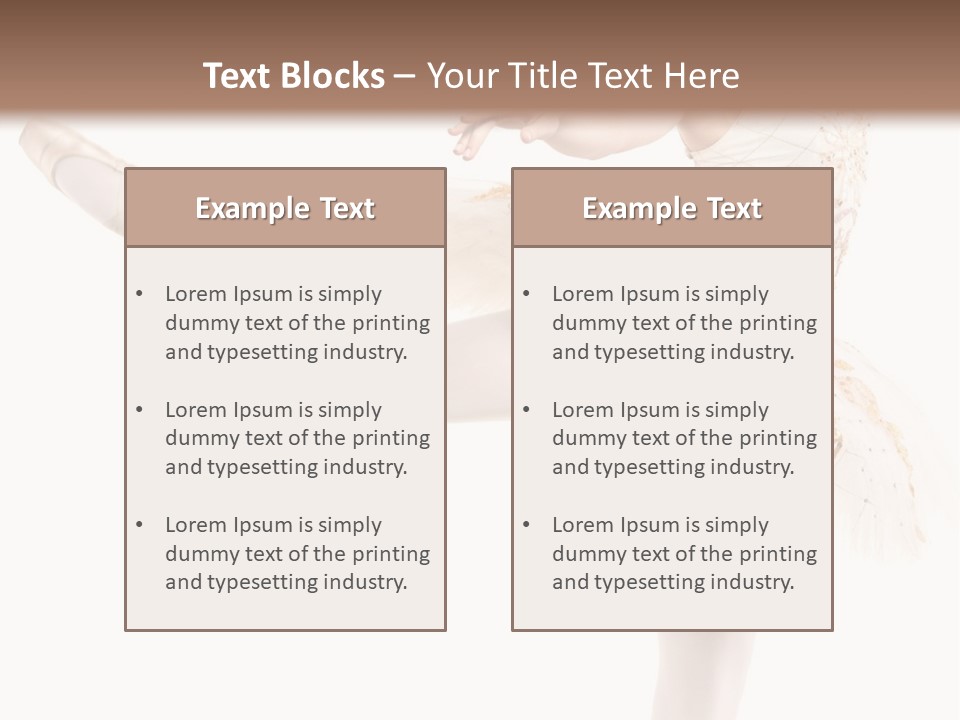 A Ballerina In A White Dress Is Posing For The Camera PowerPoint Template