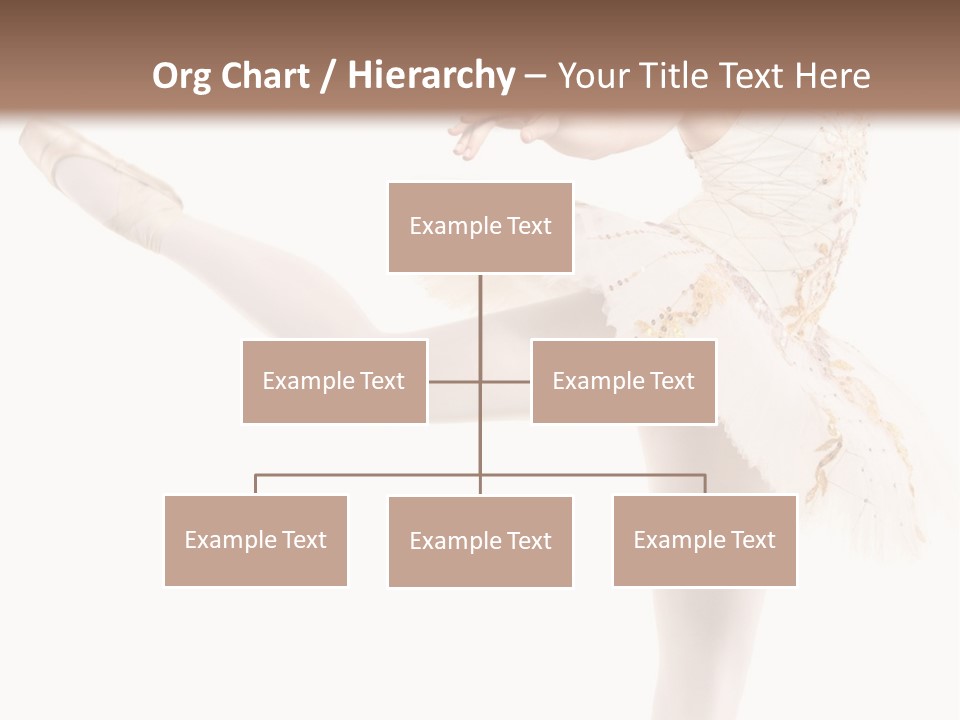 A Ballerina In A White Dress Is Posing For The Camera PowerPoint Template