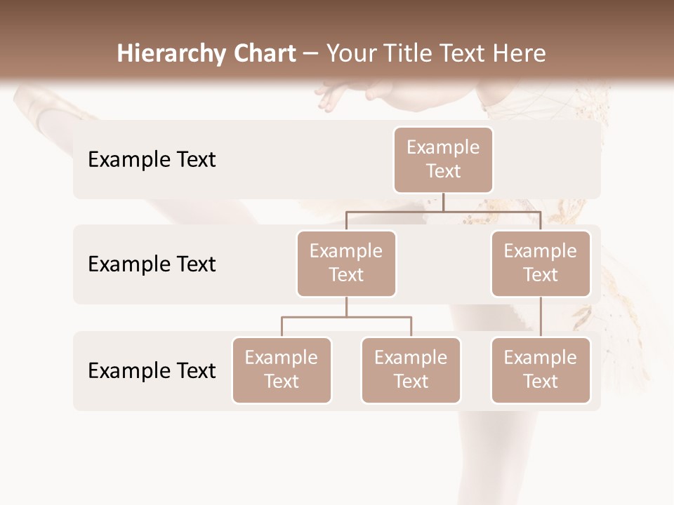 A Ballerina In A White Dress Is Posing For The Camera PowerPoint Template