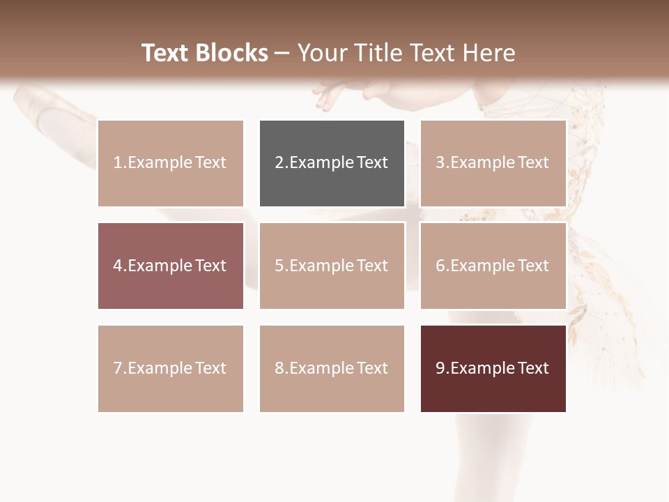 A Ballerina In A White Dress Is Posing For The Camera PowerPoint Template