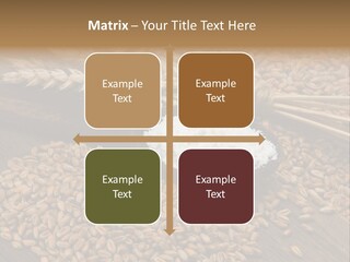 Farming Spoon Harvesting PowerPoint Template