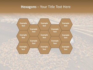 Farming Spoon Harvesting PowerPoint Template