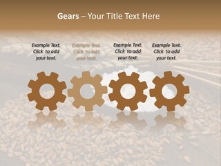 Farming Spoon Harvesting PowerPoint Template