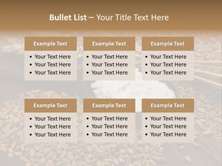 Farming Spoon Harvesting PowerPoint Template