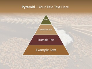 Farming Spoon Harvesting PowerPoint Template
