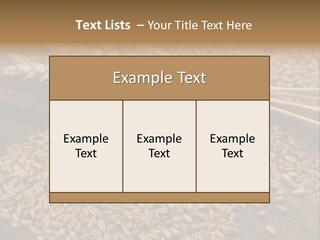 Farming Spoon Harvesting PowerPoint Template