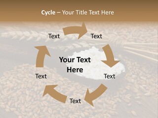 Farming Spoon Harvesting PowerPoint Template