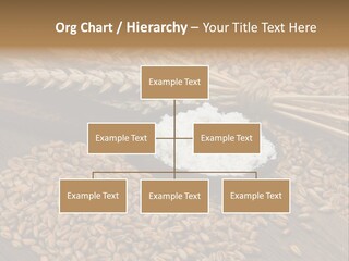 Farming Spoon Harvesting PowerPoint Template