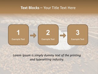 Farming Spoon Harvesting PowerPoint Template