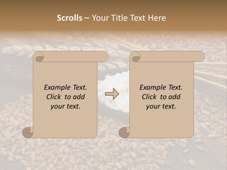 Farming Spoon Harvesting PowerPoint Template