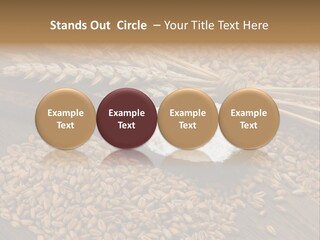 Farming Spoon Harvesting PowerPoint Template