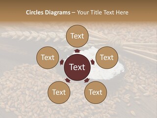 Farming Spoon Harvesting PowerPoint Template