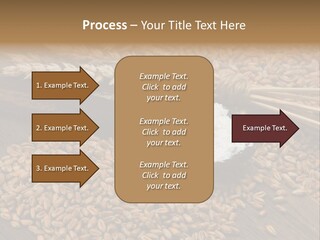 Farming Spoon Harvesting PowerPoint Template