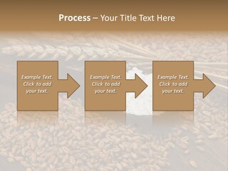 Farming Spoon Harvesting PowerPoint Template