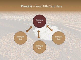 Farming Spoon Harvesting PowerPoint Template