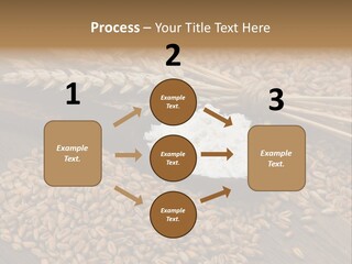 Farming Spoon Harvesting PowerPoint Template