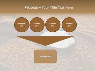 Farming Spoon Harvesting PowerPoint Template