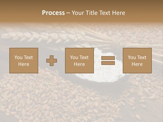 Farming Spoon Harvesting PowerPoint Template