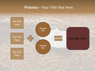 Farming Spoon Harvesting PowerPoint Template