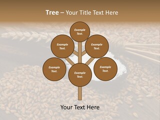 Farming Spoon Harvesting PowerPoint Template