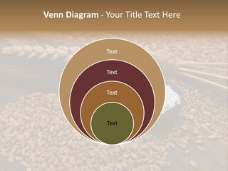 Farming Spoon Harvesting PowerPoint Template