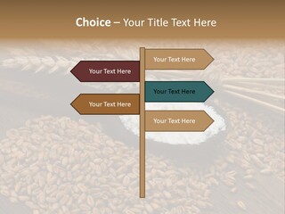 Farming Spoon Harvesting PowerPoint Template