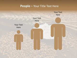 Farming Spoon Harvesting PowerPoint Template