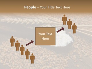 Farming Spoon Harvesting PowerPoint Template