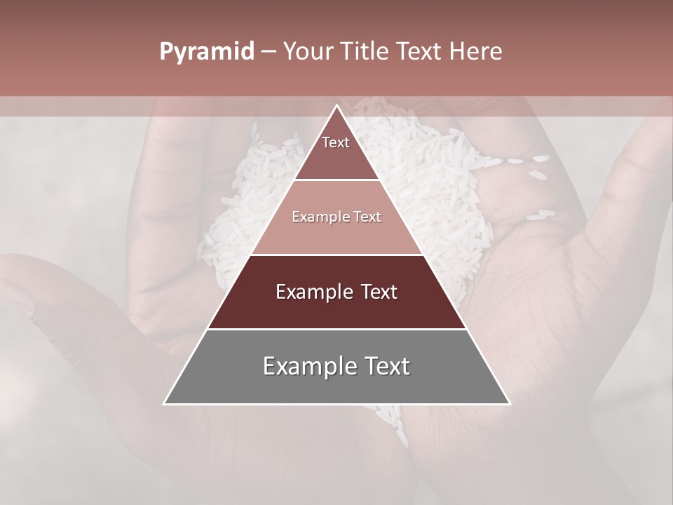 A Person Holding A Pile Of Rice In Their Hands PowerPoint Template