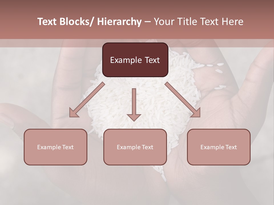 A Person Holding A Pile Of Rice In Their Hands PowerPoint Template