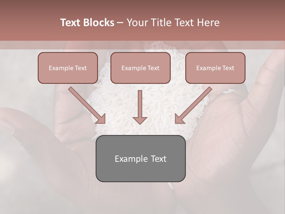 A Person Holding A Pile Of Rice In Their Hands PowerPoint Template
