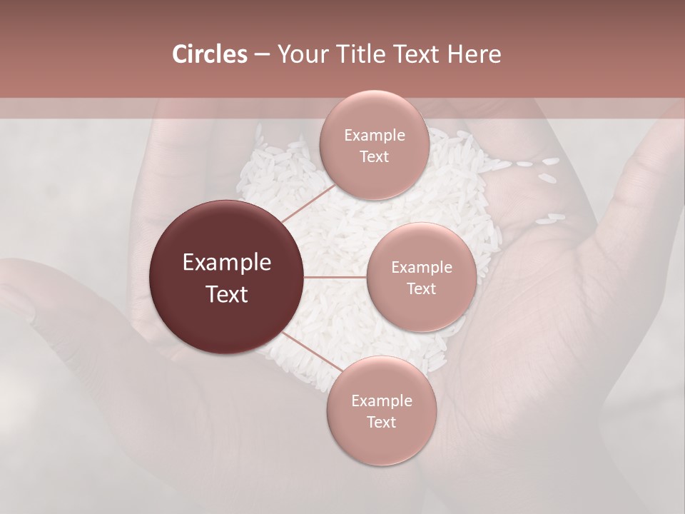 A Person Holding A Pile Of Rice In Their Hands PowerPoint Template