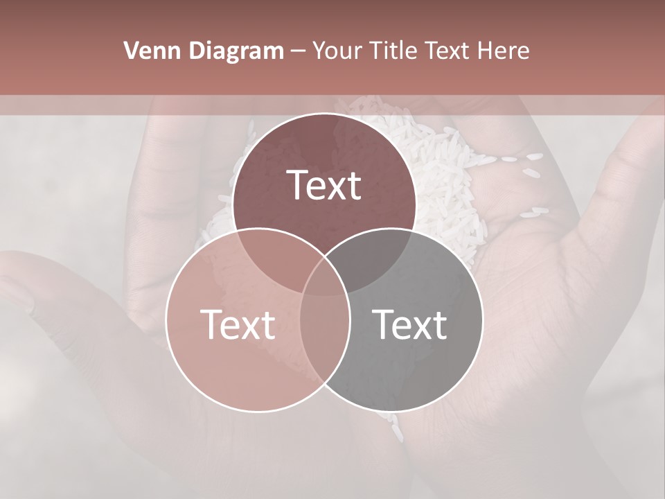 A Person Holding A Pile Of Rice In Their Hands PowerPoint Template