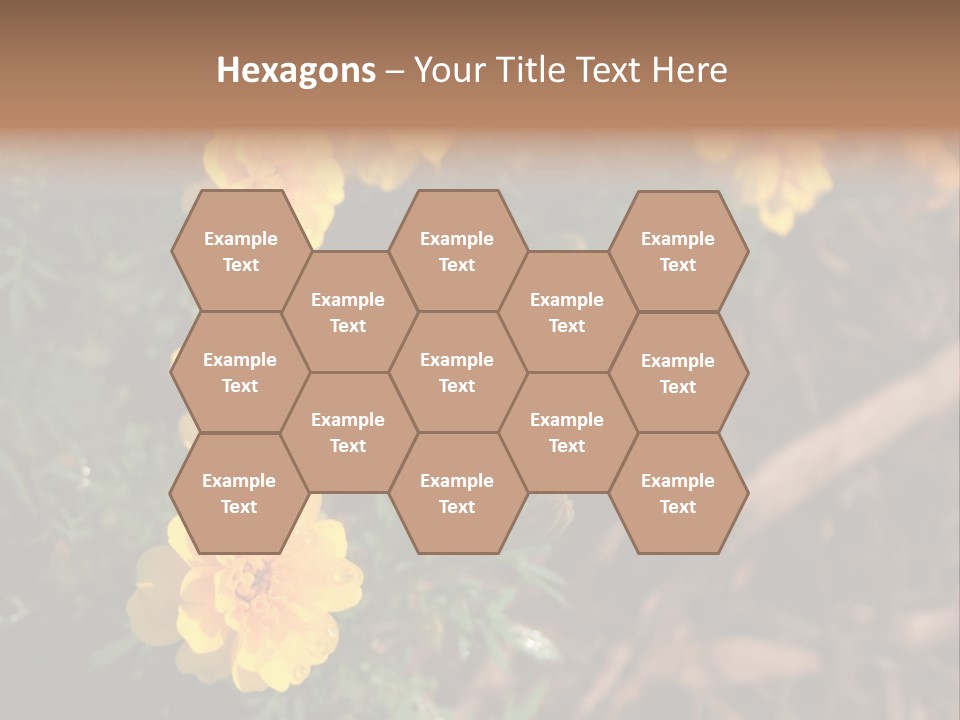 Signs Food Beverage PowerPoint Template