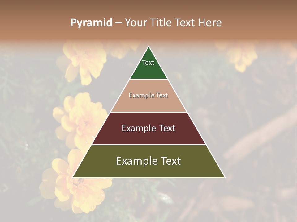 Signs Food Beverage PowerPoint Template