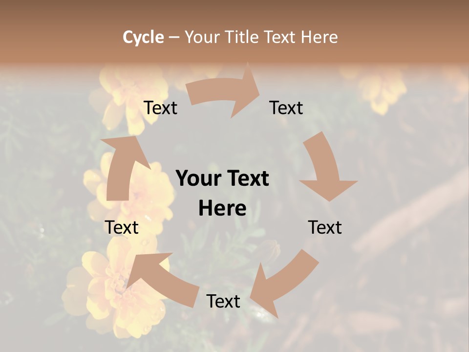 Signs Food Beverage PowerPoint Template
