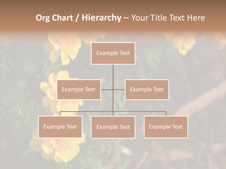 Signs Food Beverage PowerPoint Template