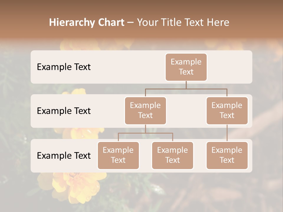 Signs Food Beverage PowerPoint Template