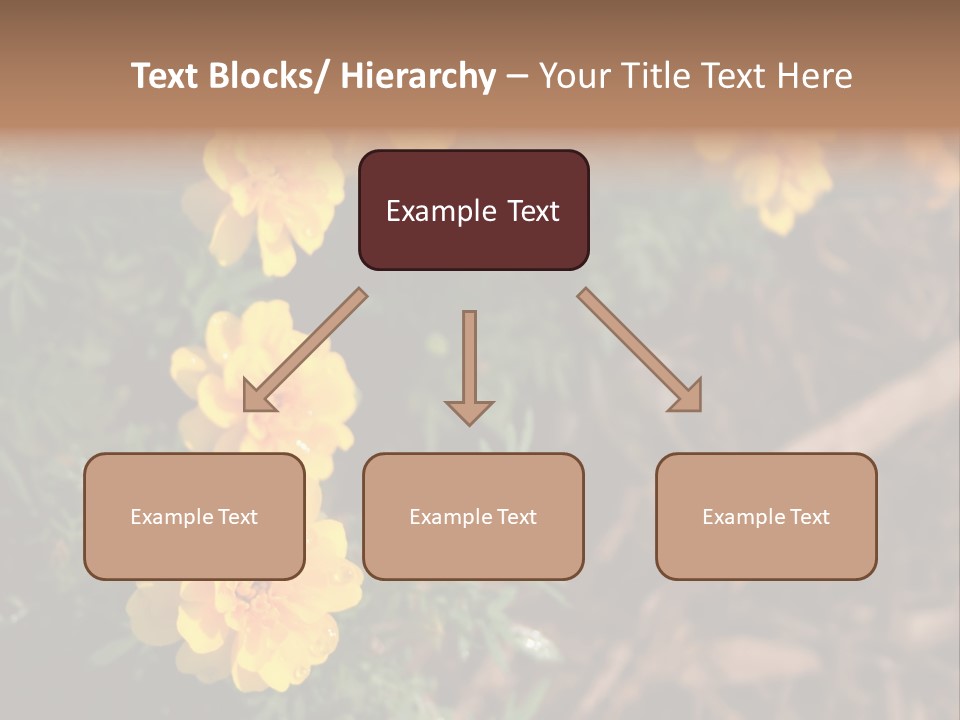 Signs Food Beverage PowerPoint Template