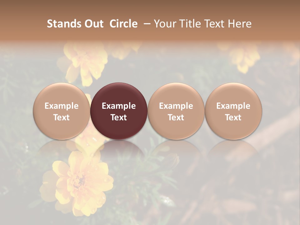 Signs Food Beverage PowerPoint Template