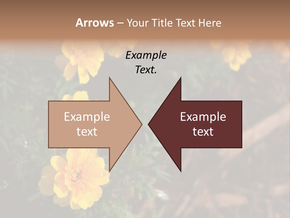 Signs Food Beverage PowerPoint Template
