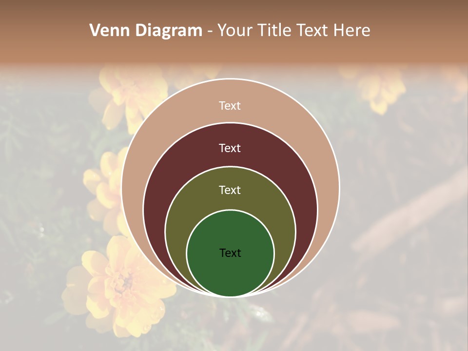 Signs Food Beverage PowerPoint Template