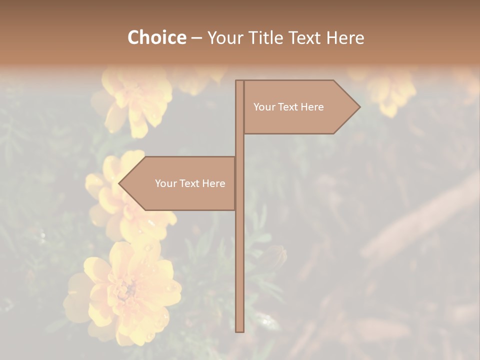 Signs Food Beverage PowerPoint Template