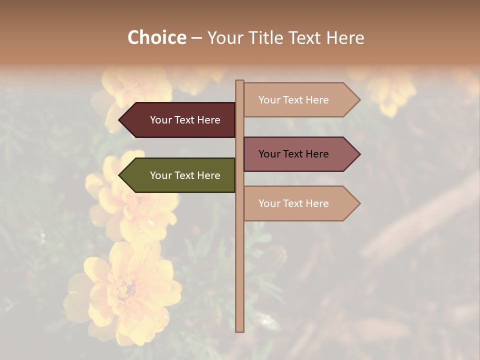 Signs Food Beverage PowerPoint Template
