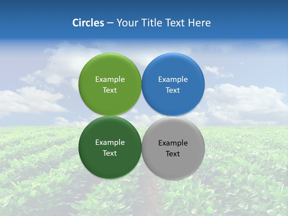Fast Food Pernicious Balance PowerPoint Template