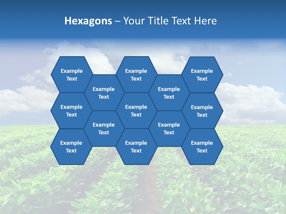 Fast Food Pernicious Balance PowerPoint Template