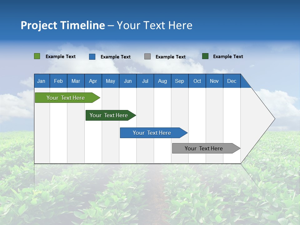 Fast Food Pernicious Balance PowerPoint Template
