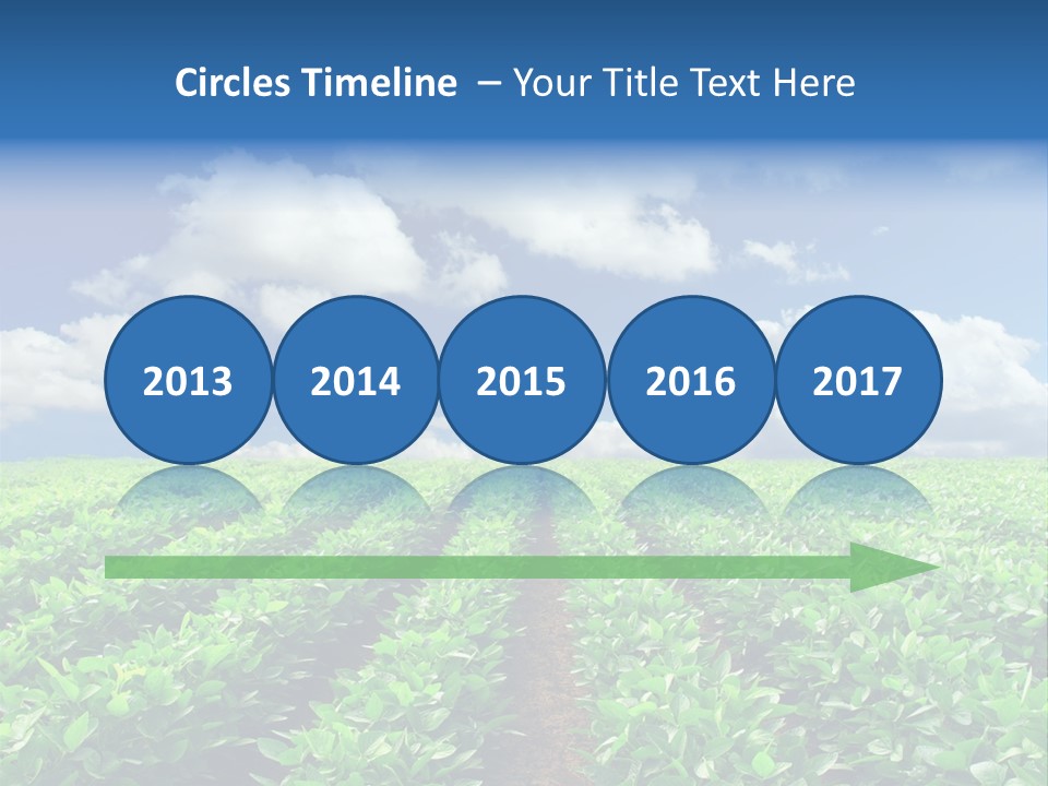 Fast Food Pernicious Balance PowerPoint Template