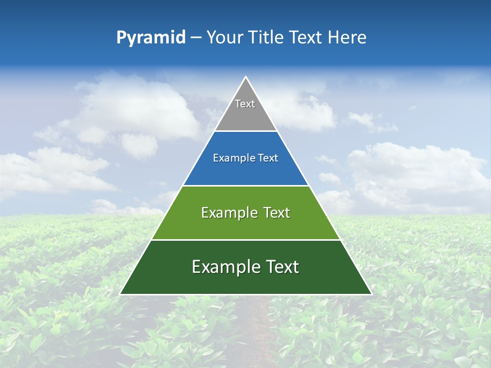 Fast Food Pernicious Balance PowerPoint Template