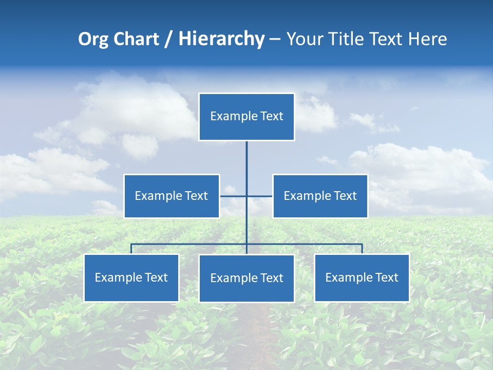 Fast Food Pernicious Balance PowerPoint Template